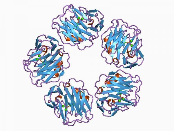 Tìm hiểu về c reactive protein là gì và cách đo lường thông thường