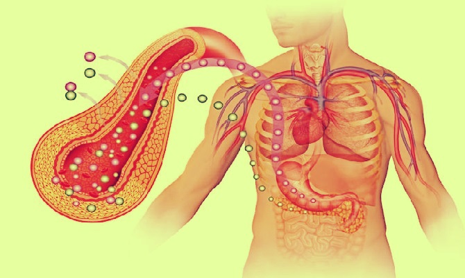 Glucagon ảnh hưởng đến quá trình phân hủy glycogen ở gan như thế nào?
