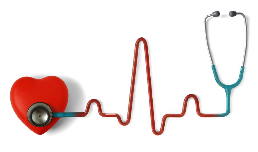 Tổng quan về vị trí các ổ van tim cách xác định và vai trò