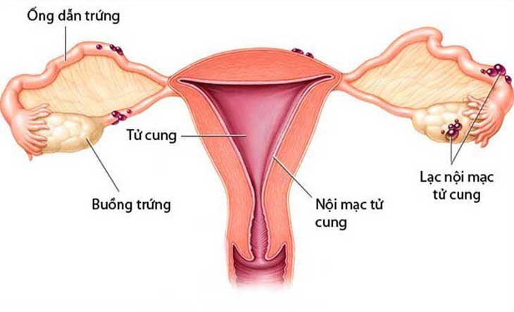 7. Tìm kiếm hỗ trợ y tế