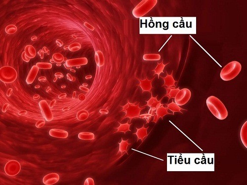Tại sao việc truyền máu có thể liên quan đến giảm tiểu cầu?
