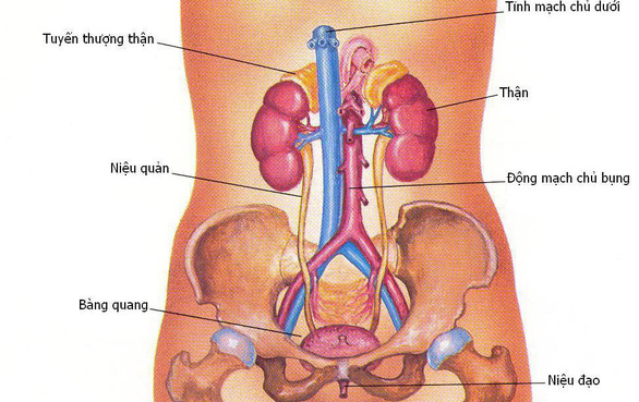 Tình dục không an toàn có thể làm tăng nguy cơ viêm đường tiết niệu ở nam giới không?
