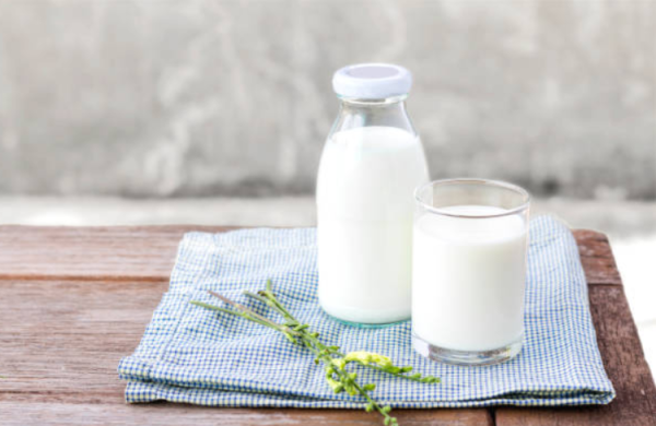 Sữa chua có khả năng làm giảm đau bao tử hay không?
