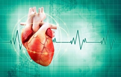 Ý nghĩa của việc kiểm tra định kỳ huyết áp và nhịp tim đối với những người có nguy cơ huyết áp cao và nhịp tim chậm.
