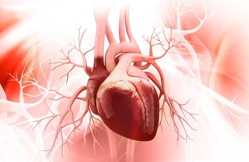Những biến chứng có thể xảy ra do hở van tim 3 lá?
