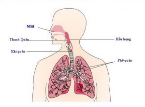 Viêm phổi thùy có nguy hiểm và ảnh hưởng như thế nào đến sức khỏe?
