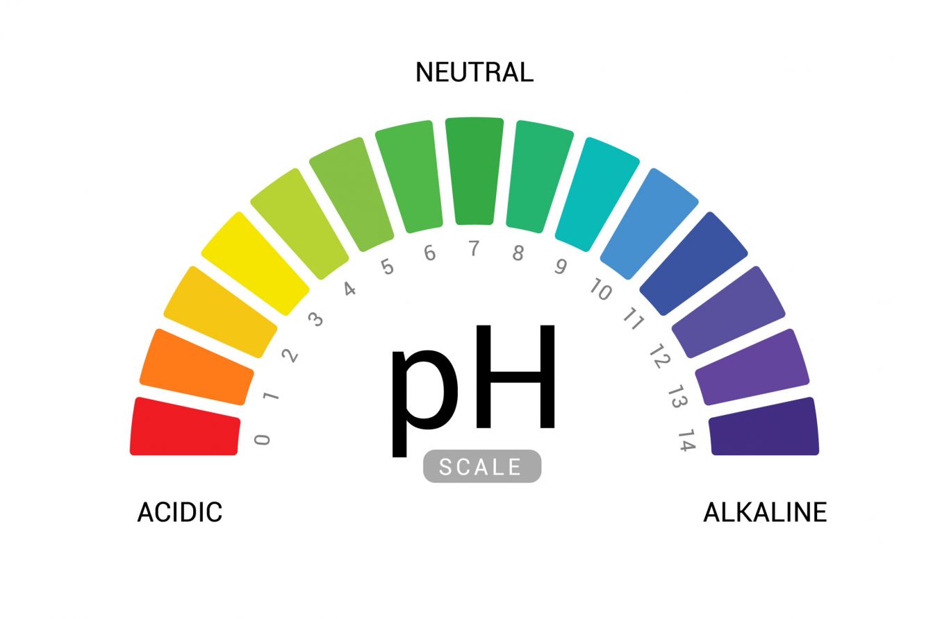 Điều gì gây ra sự mất cân bằng pH âm đạo?