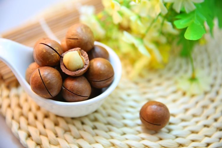 Hạt macca có chứa bao nhiêu chất béo trong 100g?
