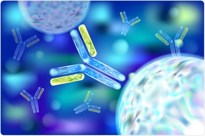 Những điều cần biết về kháng thể | BvNTP