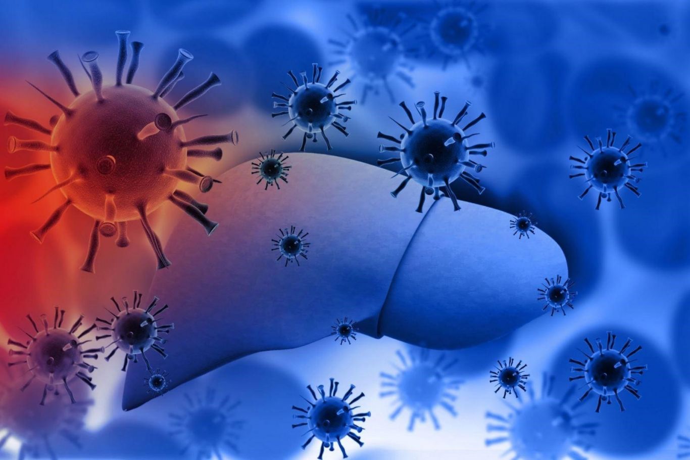 Viêm gan là gì và nó có liên quan gì đến nhiễm trùng gan?
