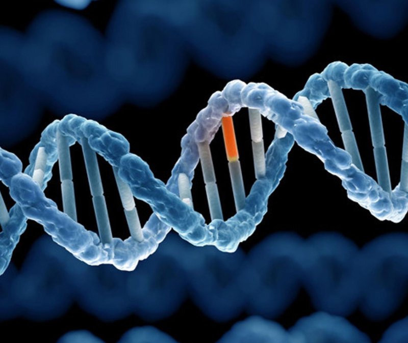 Bệnh di truyền đơn gen là gì?
