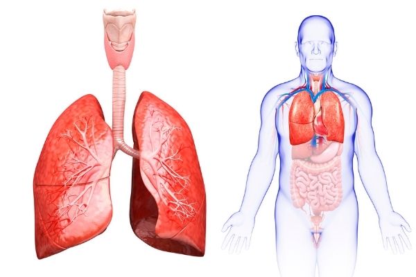 Đo thông khí phổi và làm test hồi phục phế quản | BvNTP