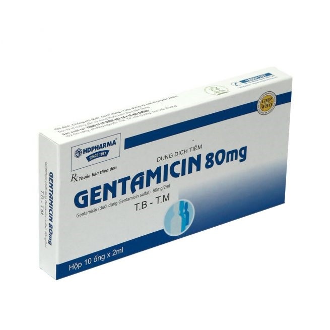 Gentamicin có thể được sử dụng tiêm tĩnh mạch không liên tục không?
