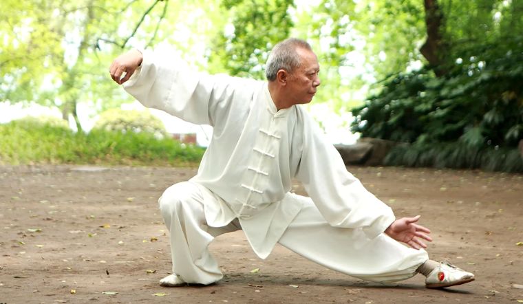 Minh hoạ về luyện tập thái cực quyền