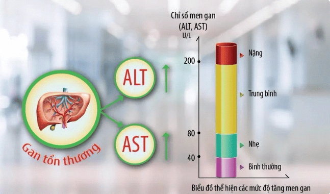 4. Cách Giảm Chỉ Số ALT