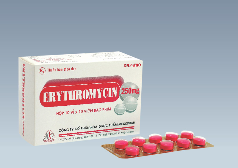 Thuốc Erythromycin tác động lên vi khuẩn nào?
