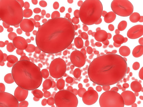 Hồng cầu của người bị bệnh thalassemia có kích thước nhỏ hơn bình thường không?

