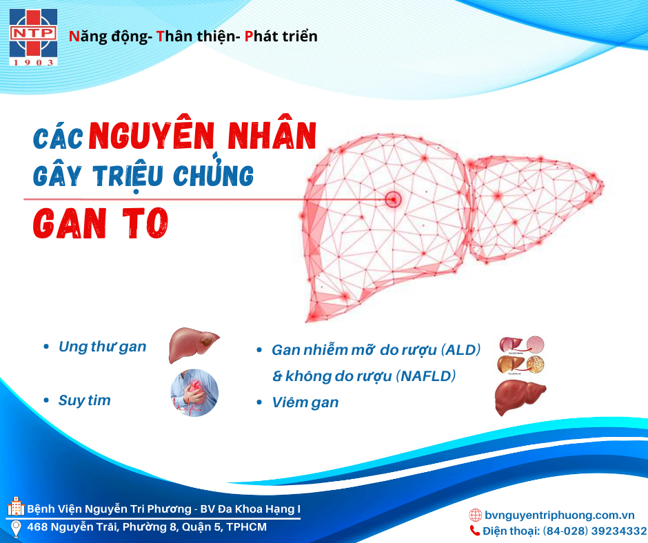 Thuốc điều trị bệnh gan to là gì?
