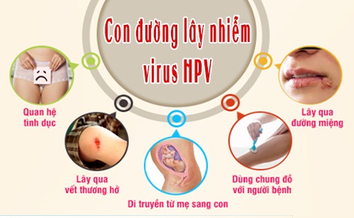 Quá trình lây nhiễm HPV