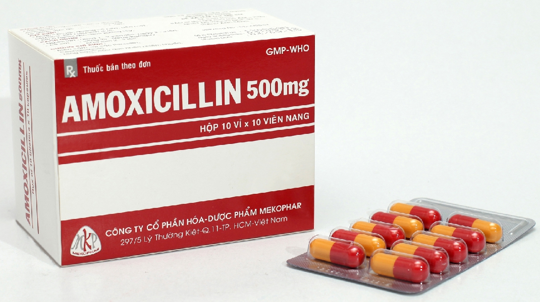 Thuốc amoxicillin có tác dụng chống lại cả vi khuẩn gram dương và gram âm không?
