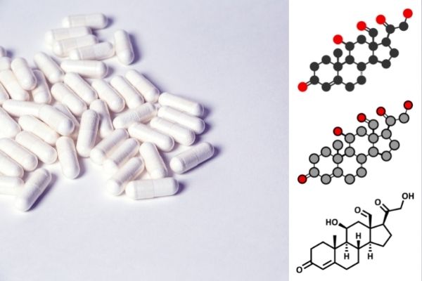 Có những loại hormone steroid tự nhiên tồn tại trong cơ thể con người không?
