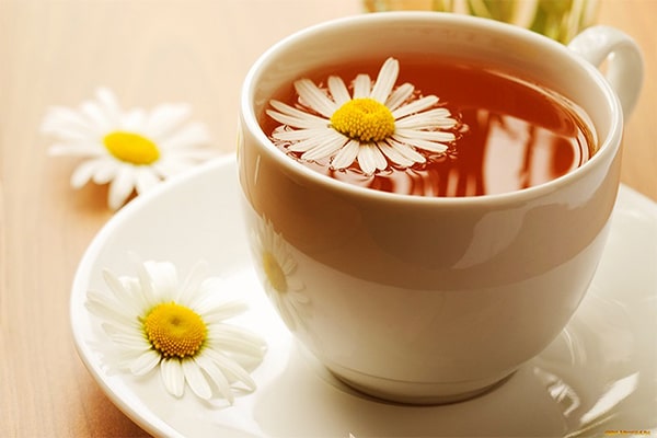 trà hoa cúc có thể giảm bớt tình trạng chảy máu chân răng
