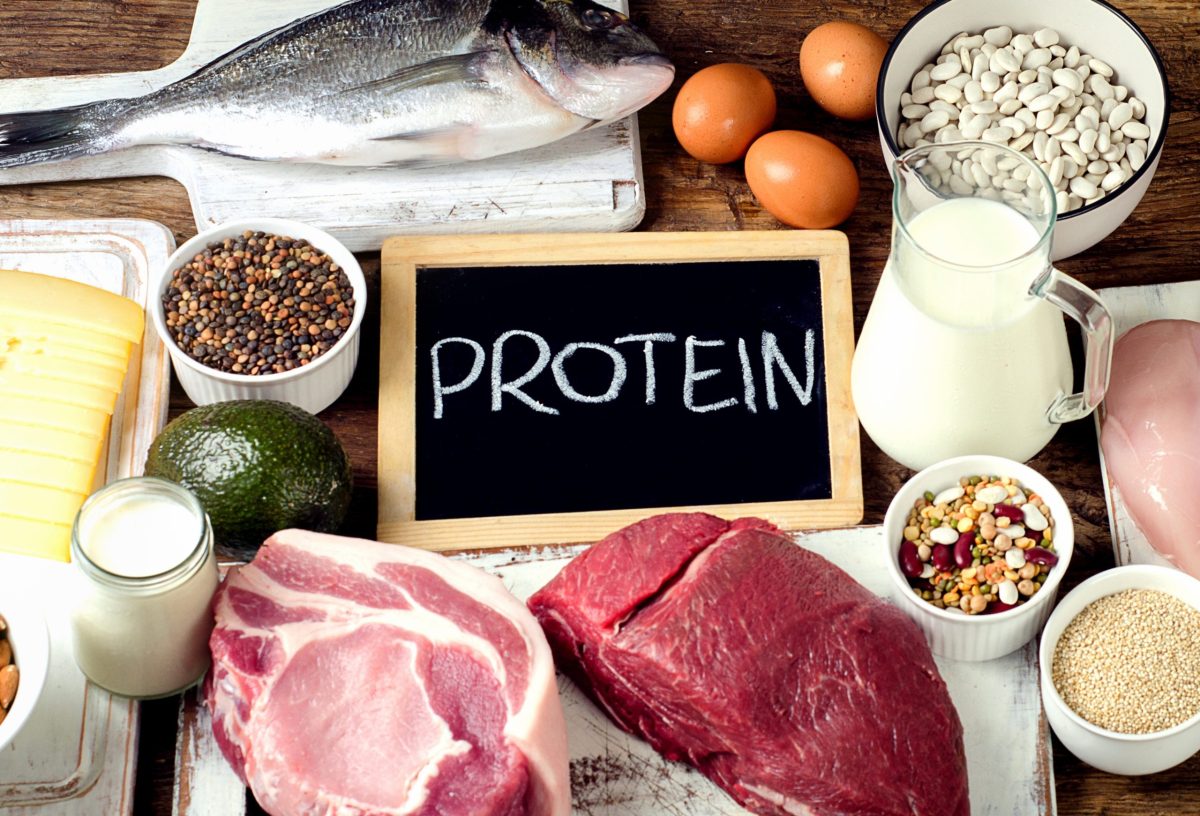 thực phẩm giàu protein từ động vật