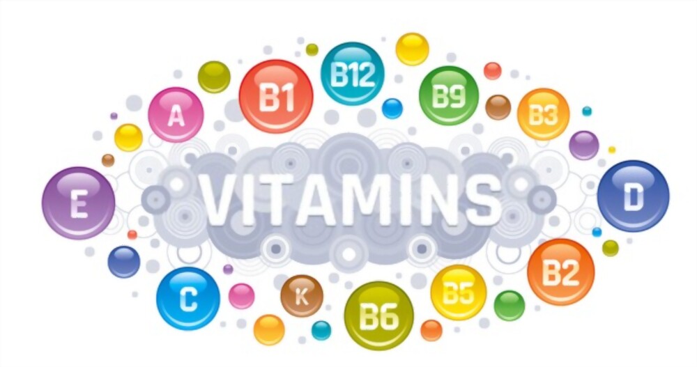 Các loại vitamin được công nhận